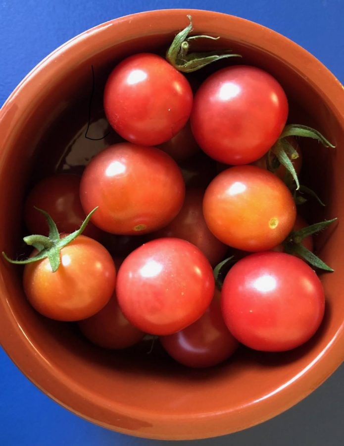 Tomatoes in the bowl